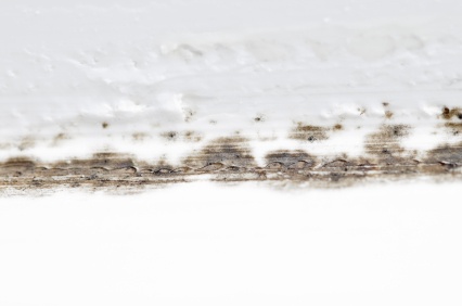 How do you remove mold from walls?